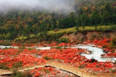 海螺壹號-木格措、瀘定橋、紅石公園、磨西古鎮(zhèn)3日游